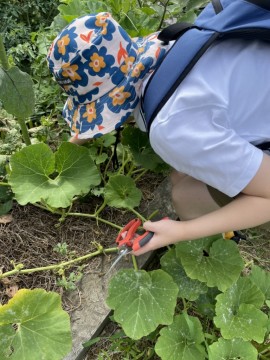 富山　家具　無垢材　おしゃれ