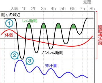 ベッド販売資料【深部体温と寝汗】